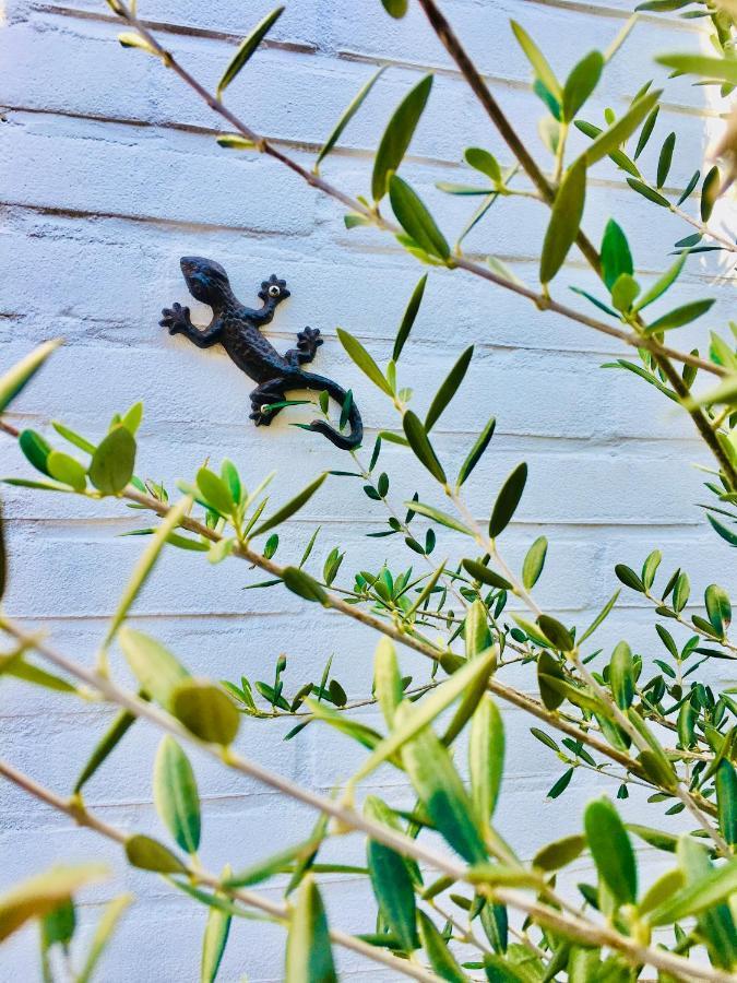 ノールトウェイク Es Vedraヴィラ エクステリア 写真